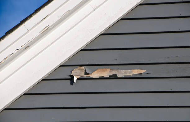 Trusted El Campo, TX Siding Installation & Repair Experts